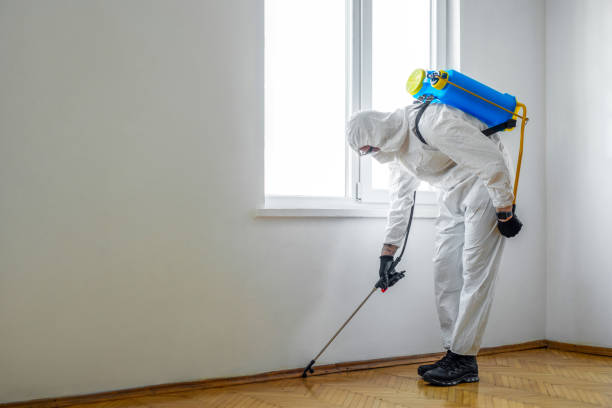 Trusted Baltic, SD Pest Control Experts