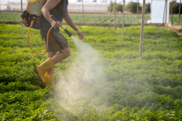 Best Affordable Pest Control Services  in Baltic, SD