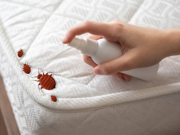 Best Pest Prevention Services  in Baltic, SD