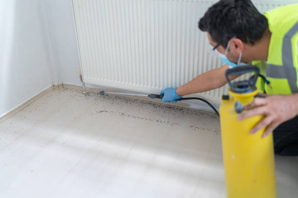Best Bed Bug Extermination  in Baltic, SD